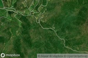 Left Prong Brasstown Creek