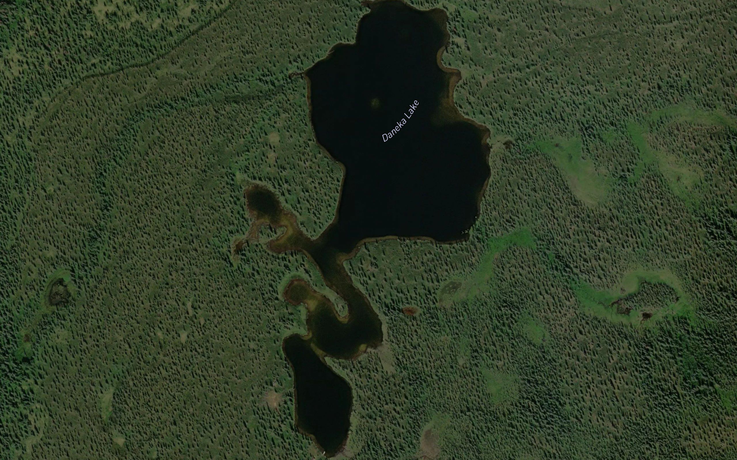 Daneka Lake