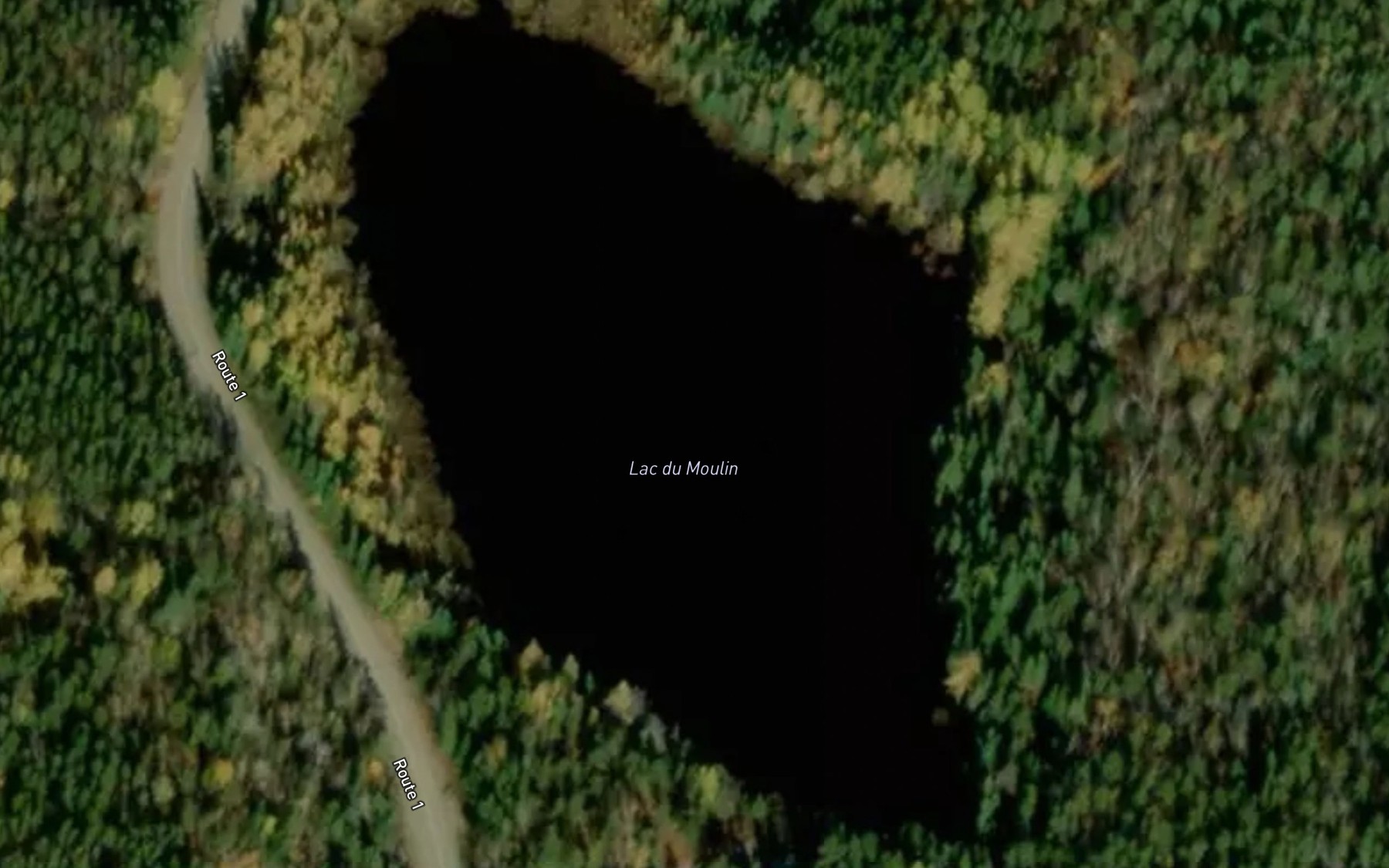 Satellite map of the Lac du Moulin