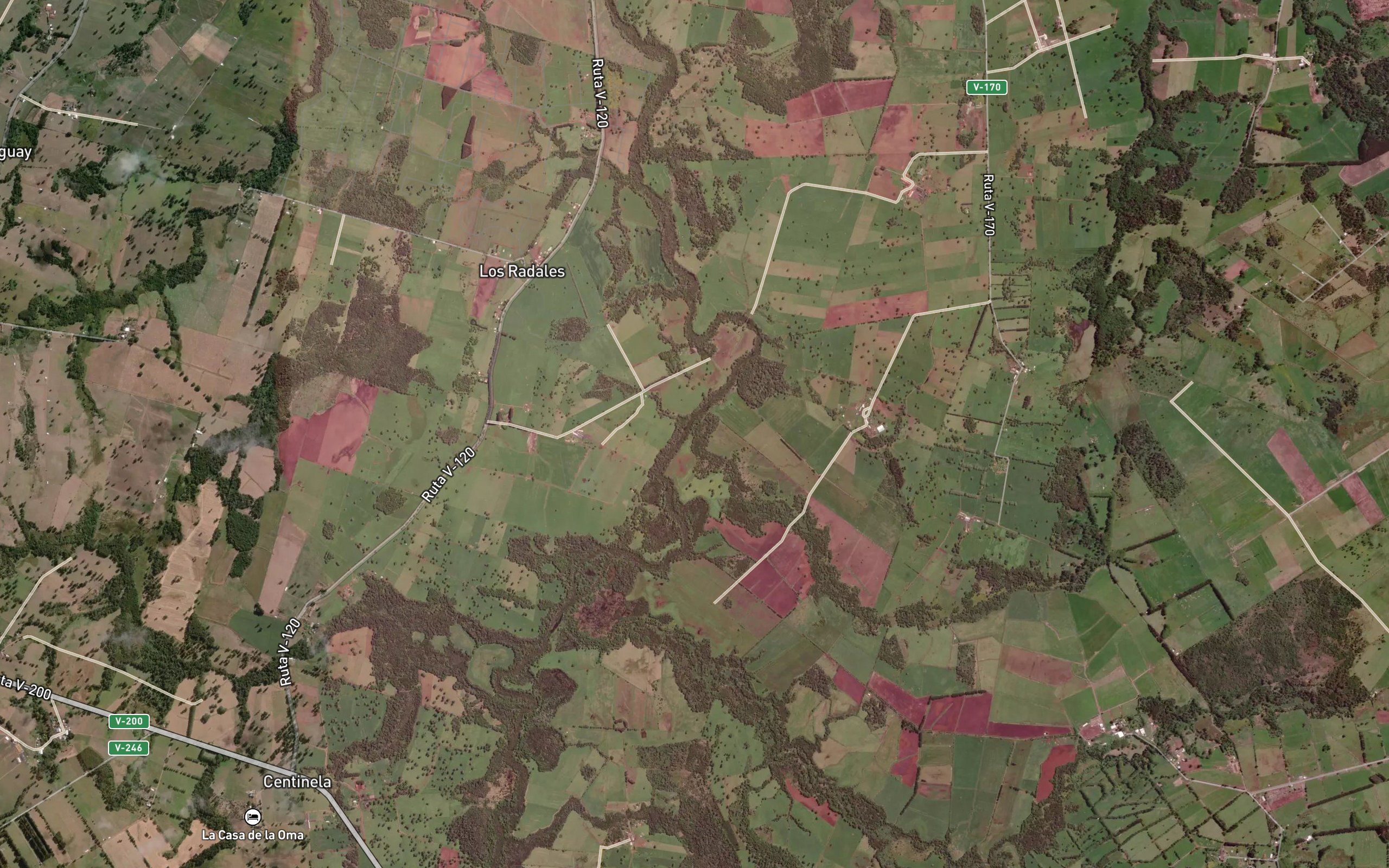 Estero Planchado