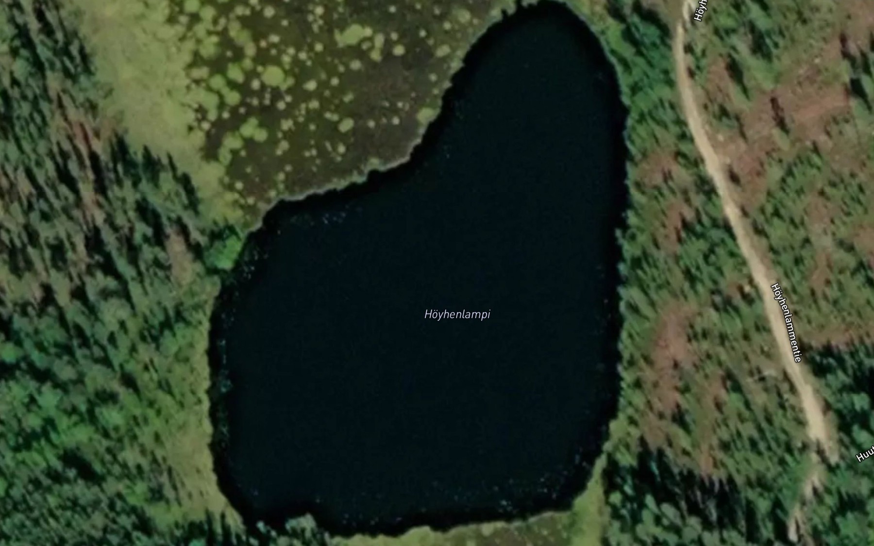 Satellite map of the Hoyhenlampi