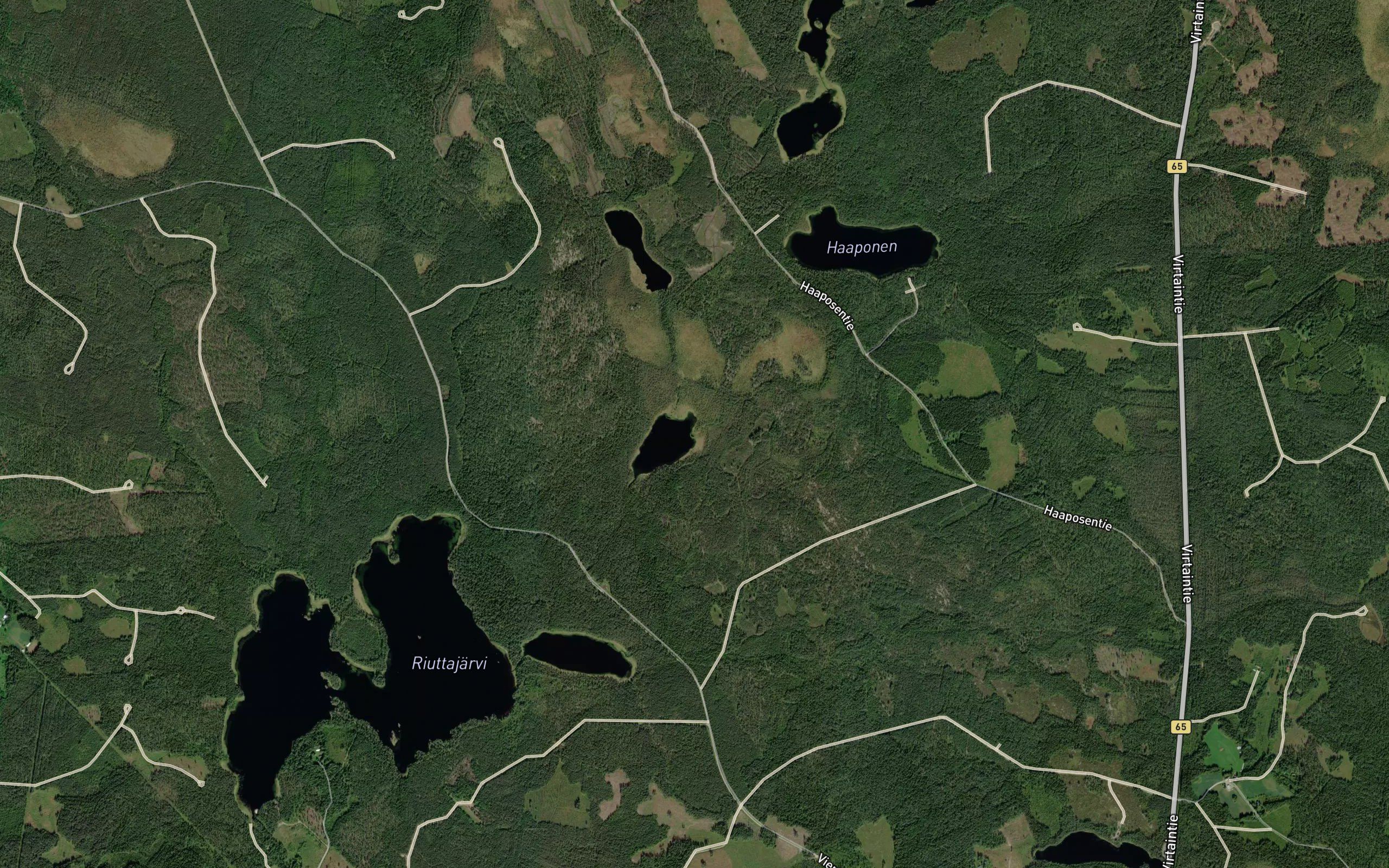Haaposenoja