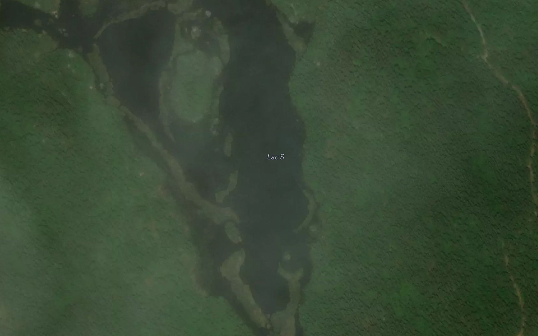 Satellite map of the Lac S