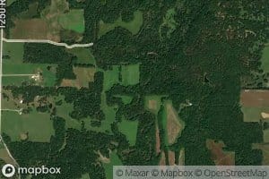 Prairie Flower Branch