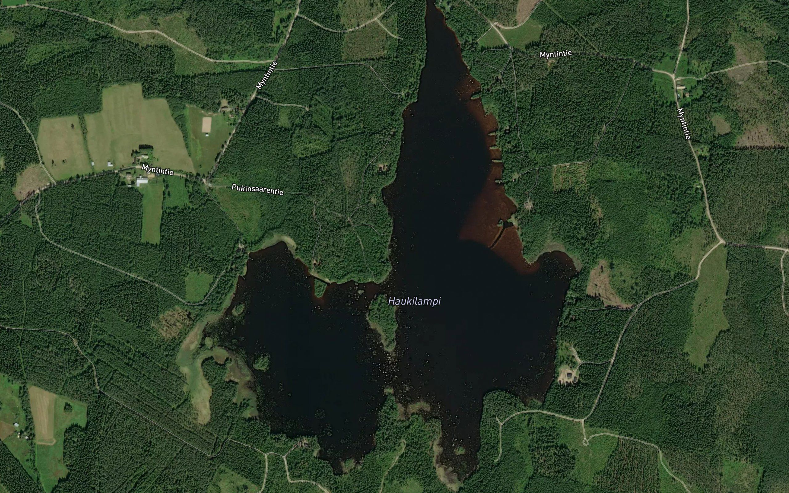 Haukilampi