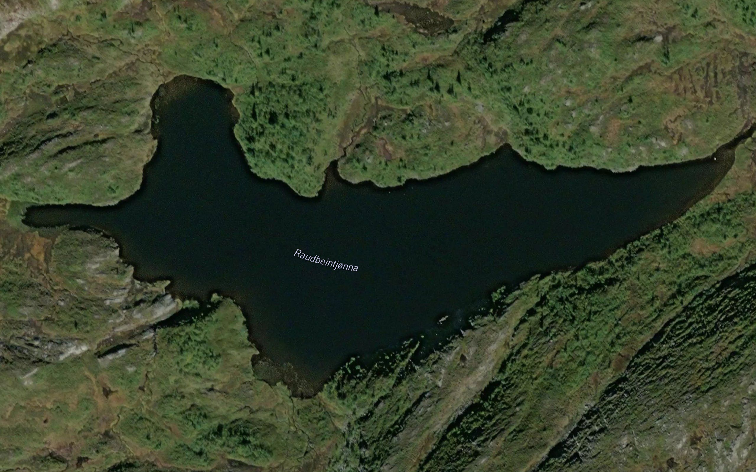 Raudbeintjorna