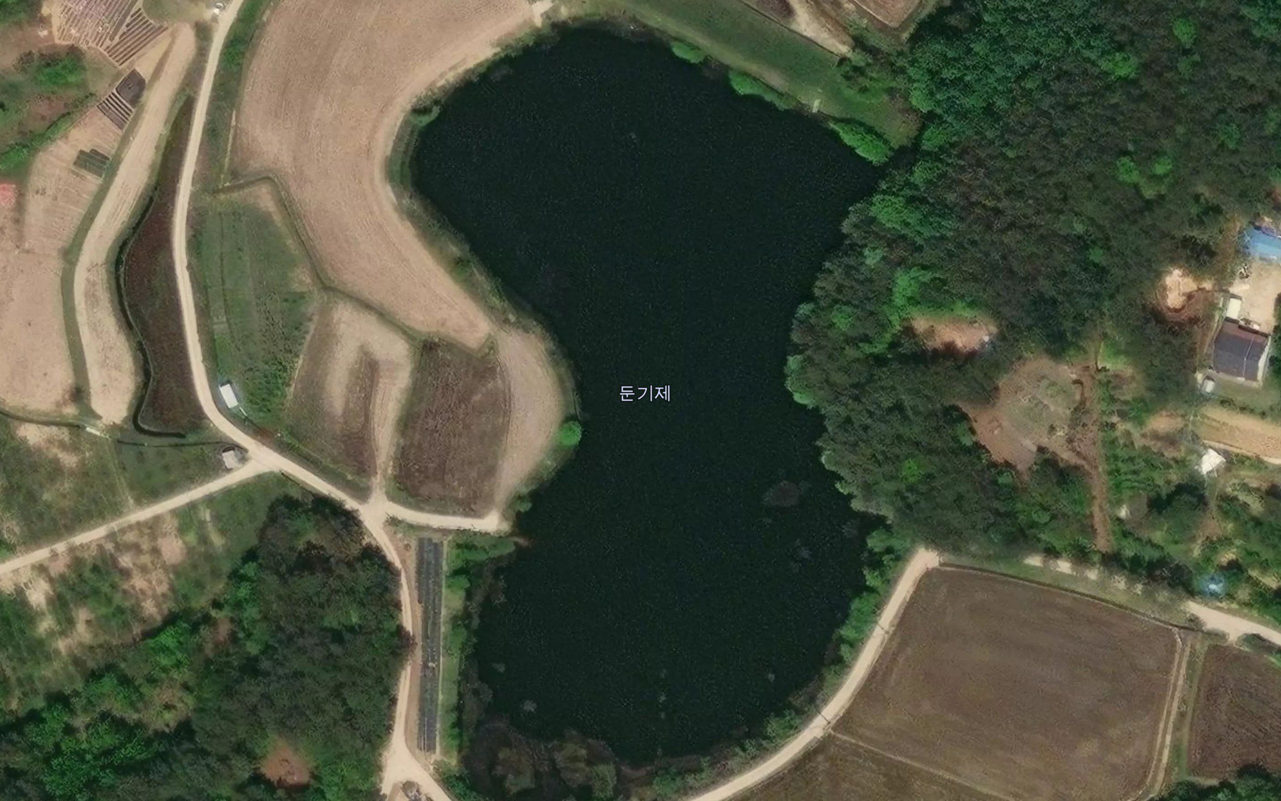 Dungije
