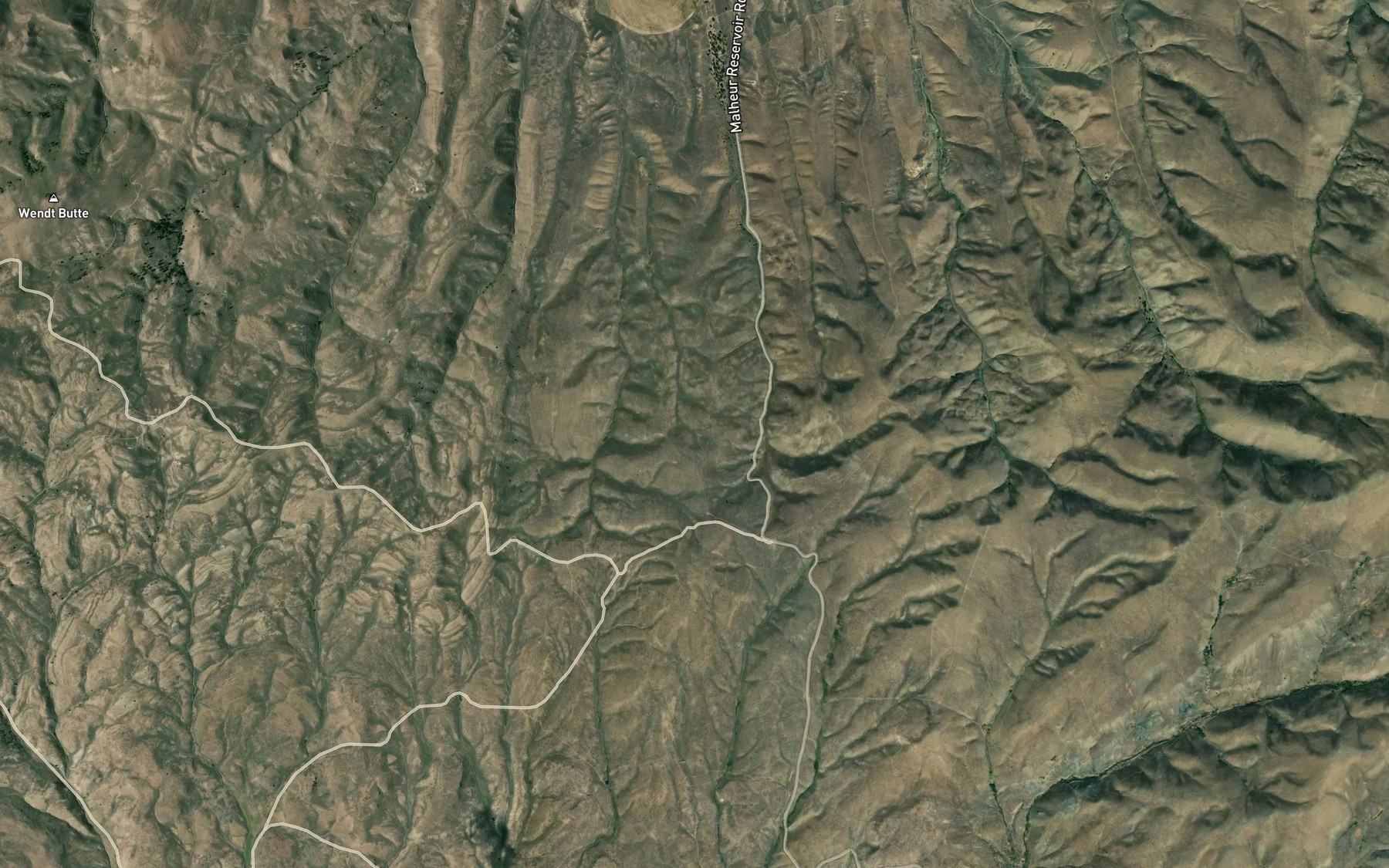 Satellite map of the Nickols Spring