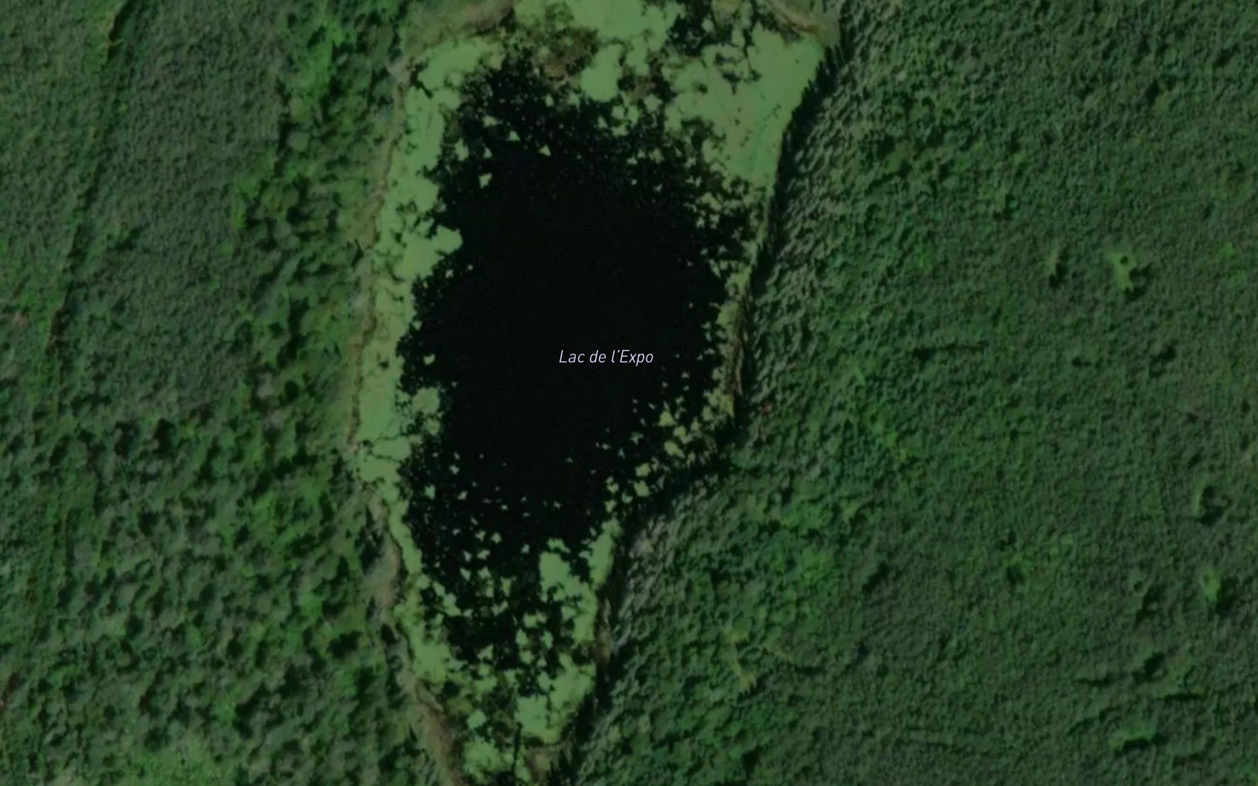 Lac de l'Expo
