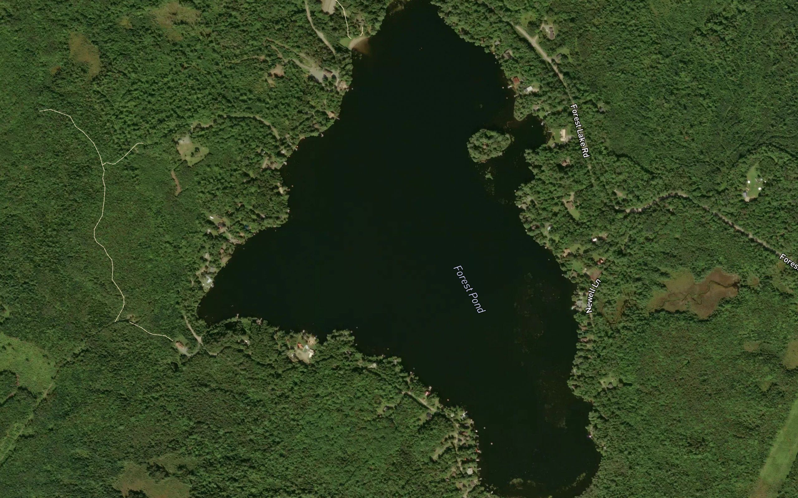 Forest Lake