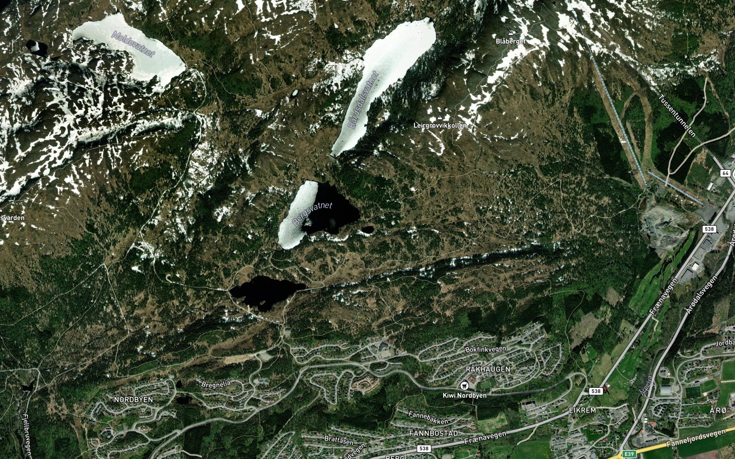 Bergstjonna