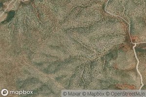 Satellite map of the Fig Tree Spring