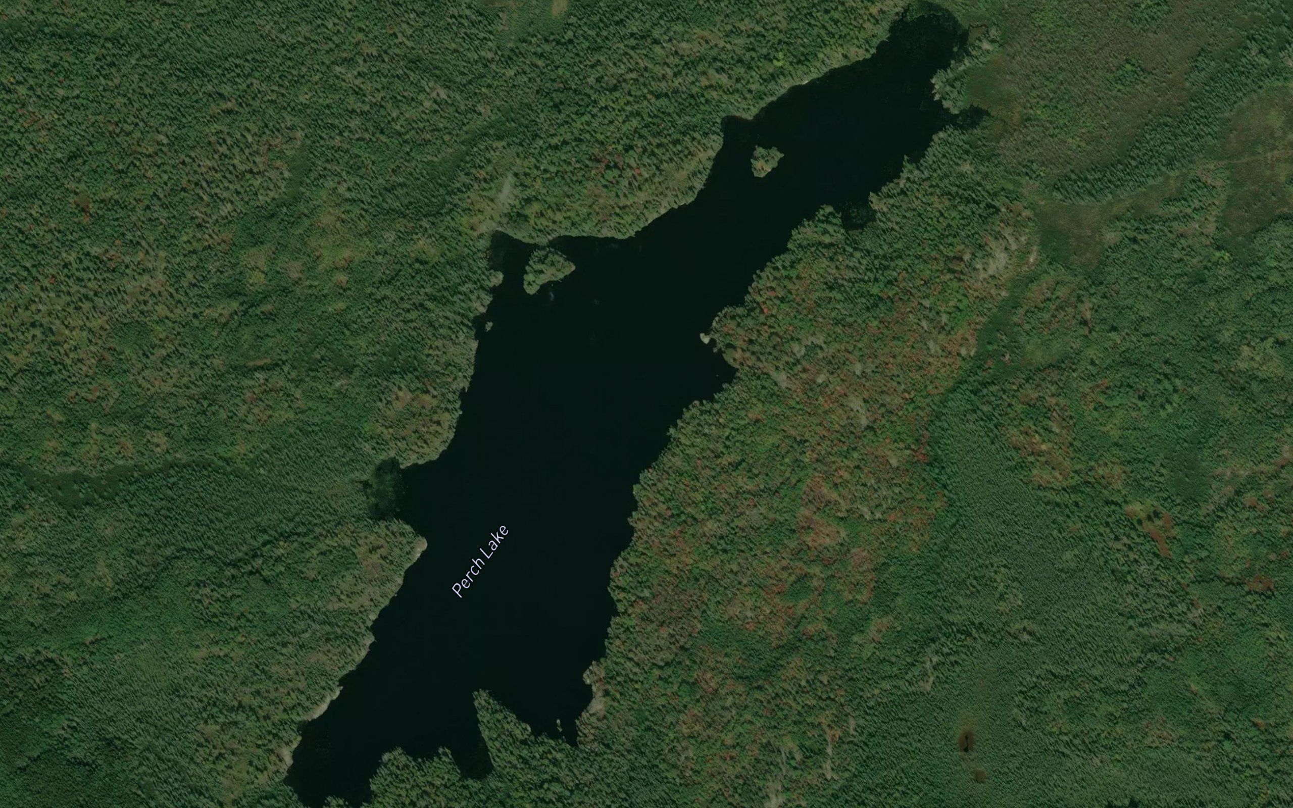 Perch Lake