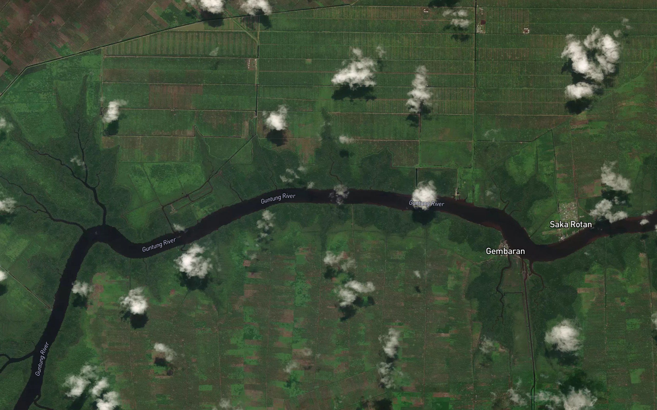 Sungai Panglidi