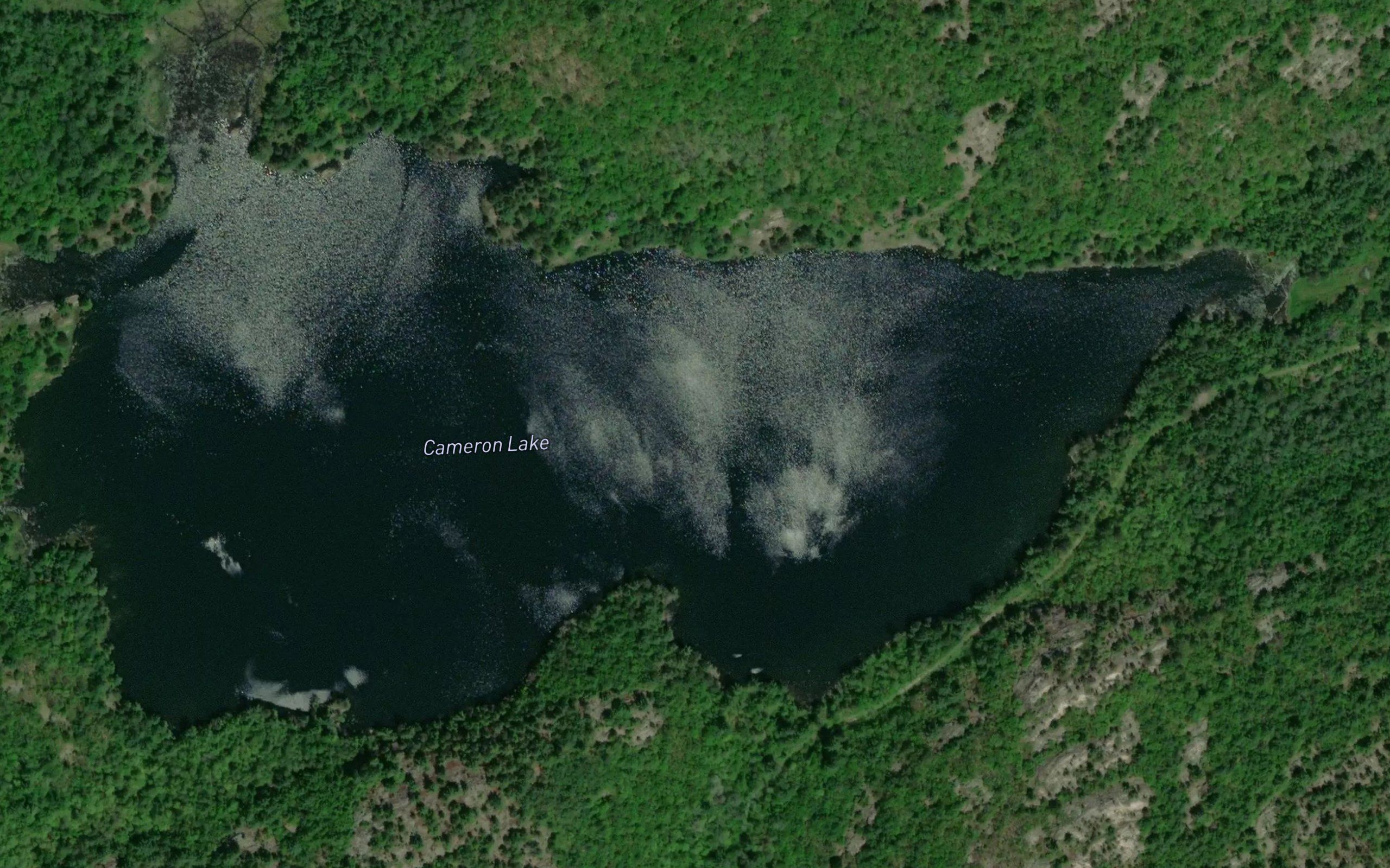Cameron Lake