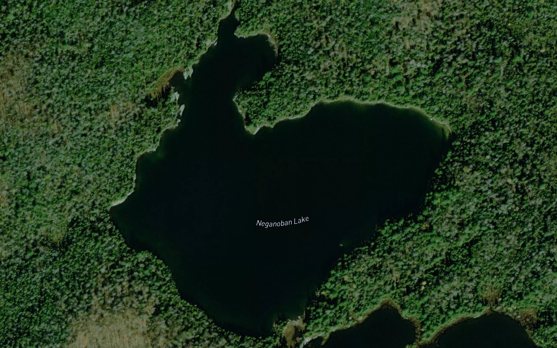 Satellite map of the Neganoban Lake