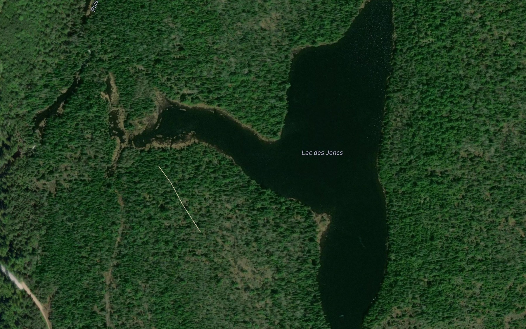 Satellite map of the Lac des Joncs