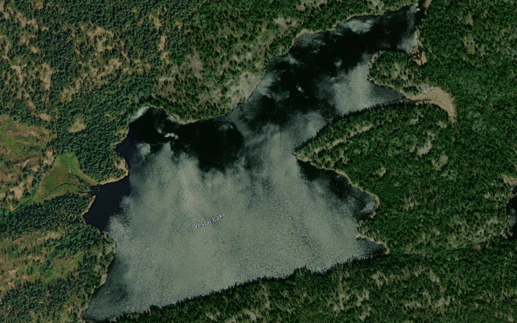 Satellite map of the Vestal Lake