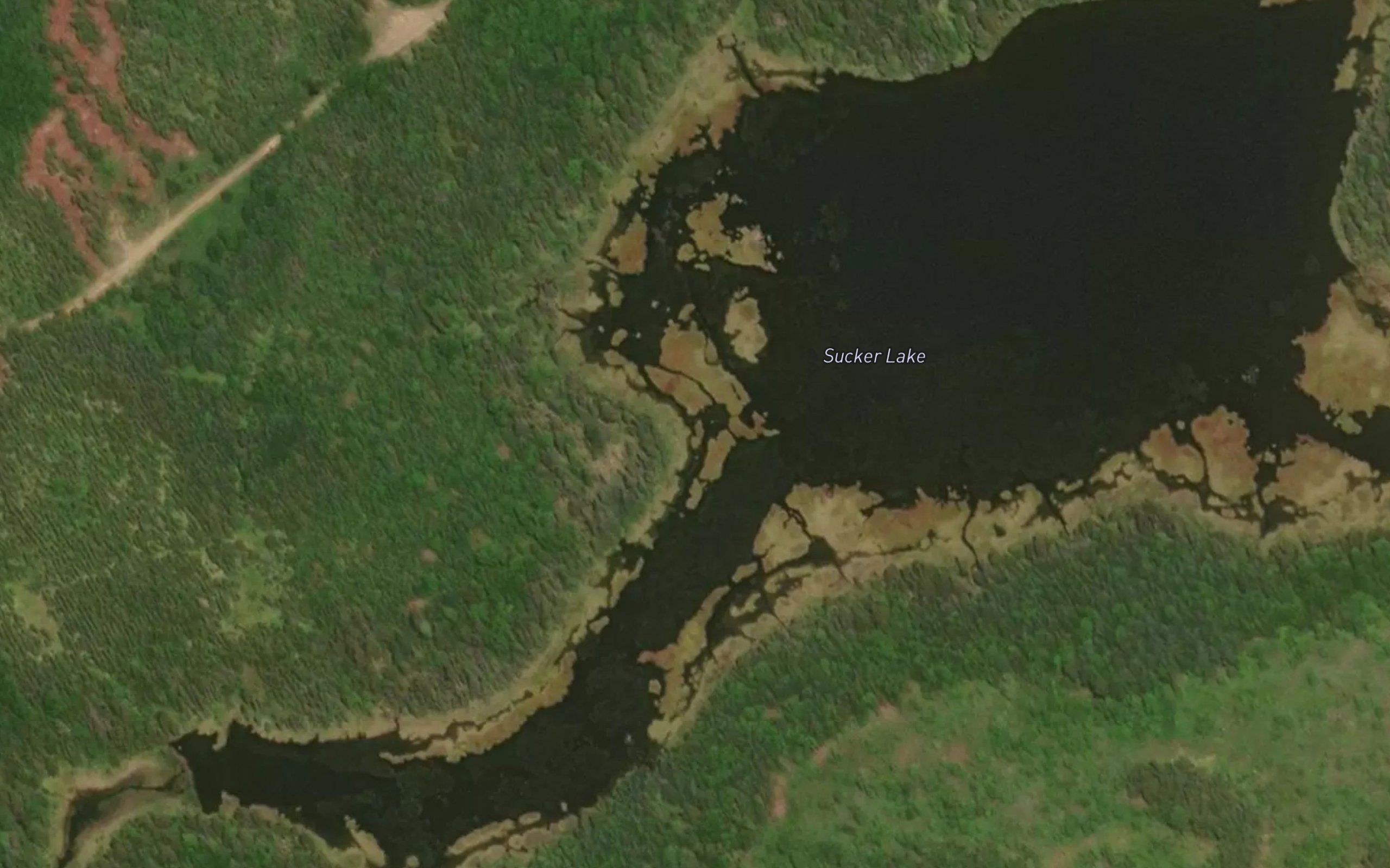 Sucker Lake