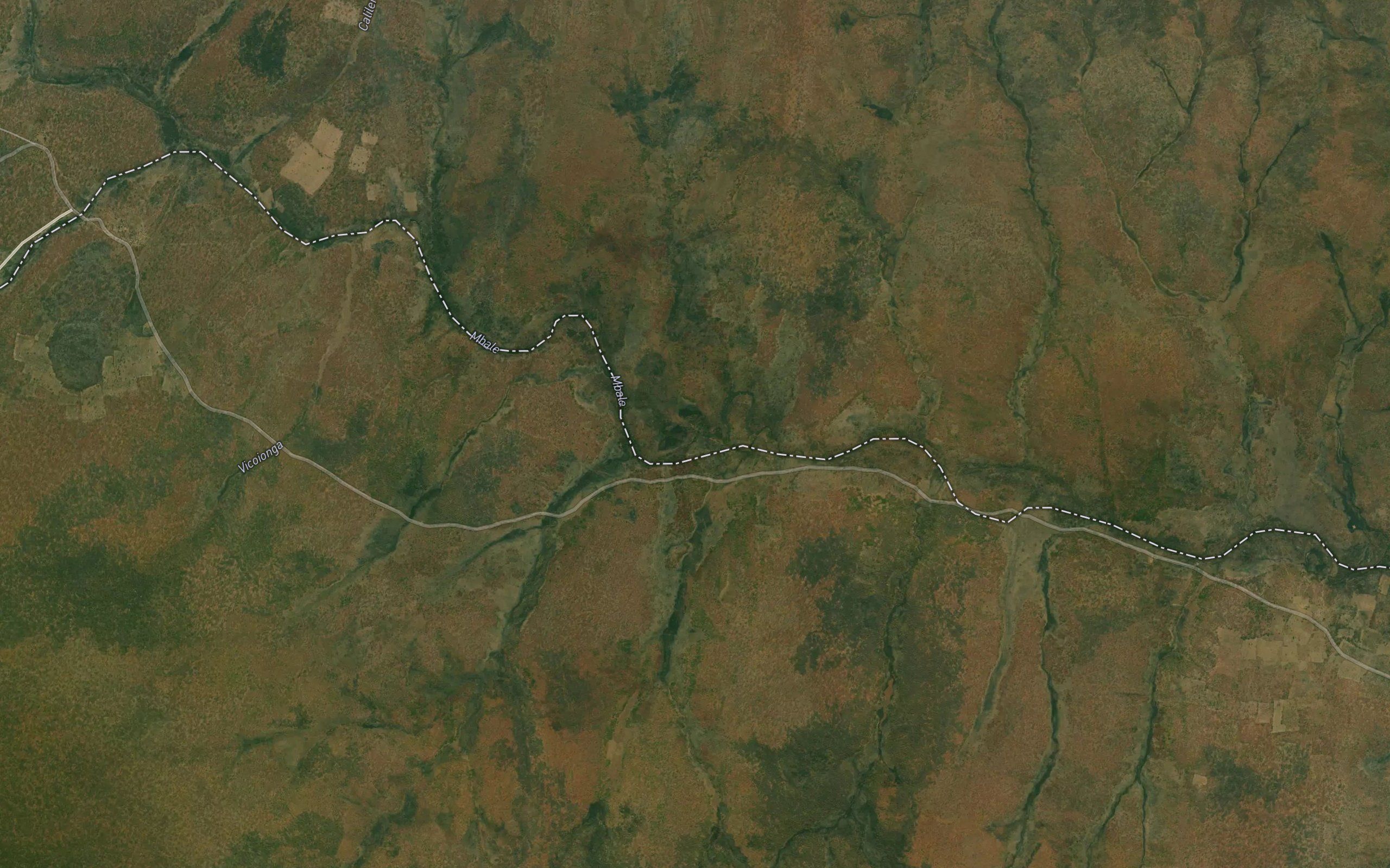 Vicubungo