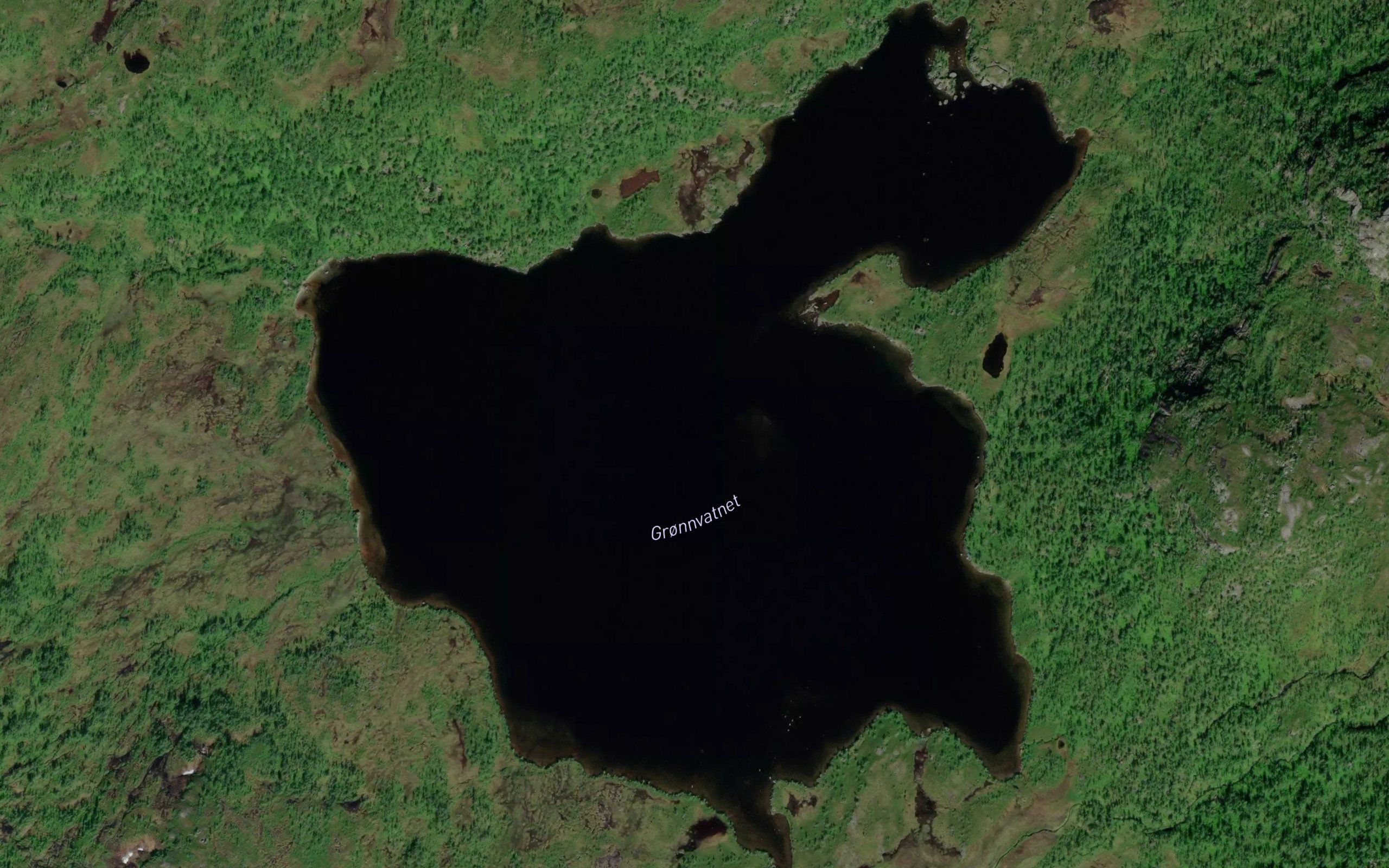 Gronvatnet