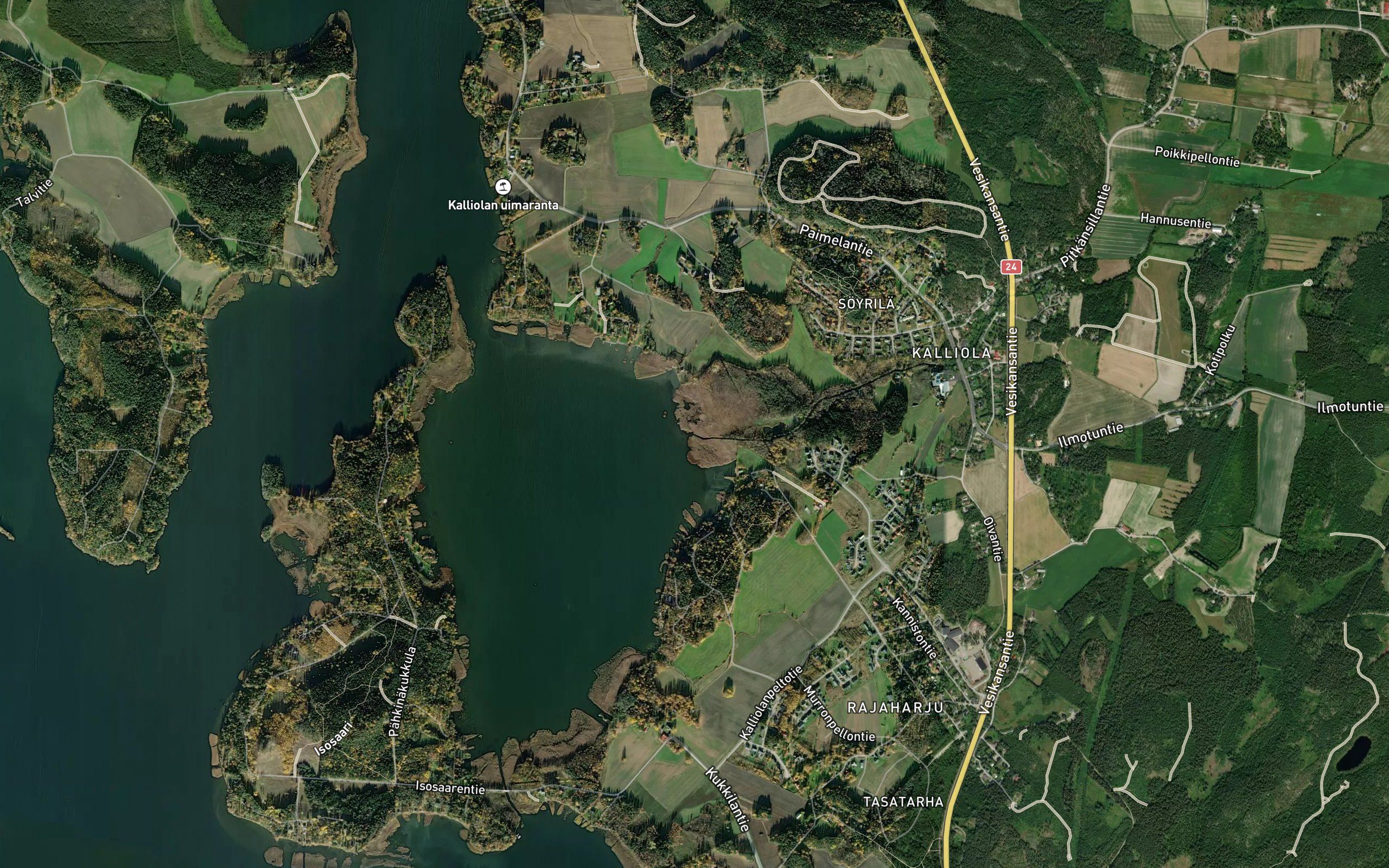 Haritunjoki