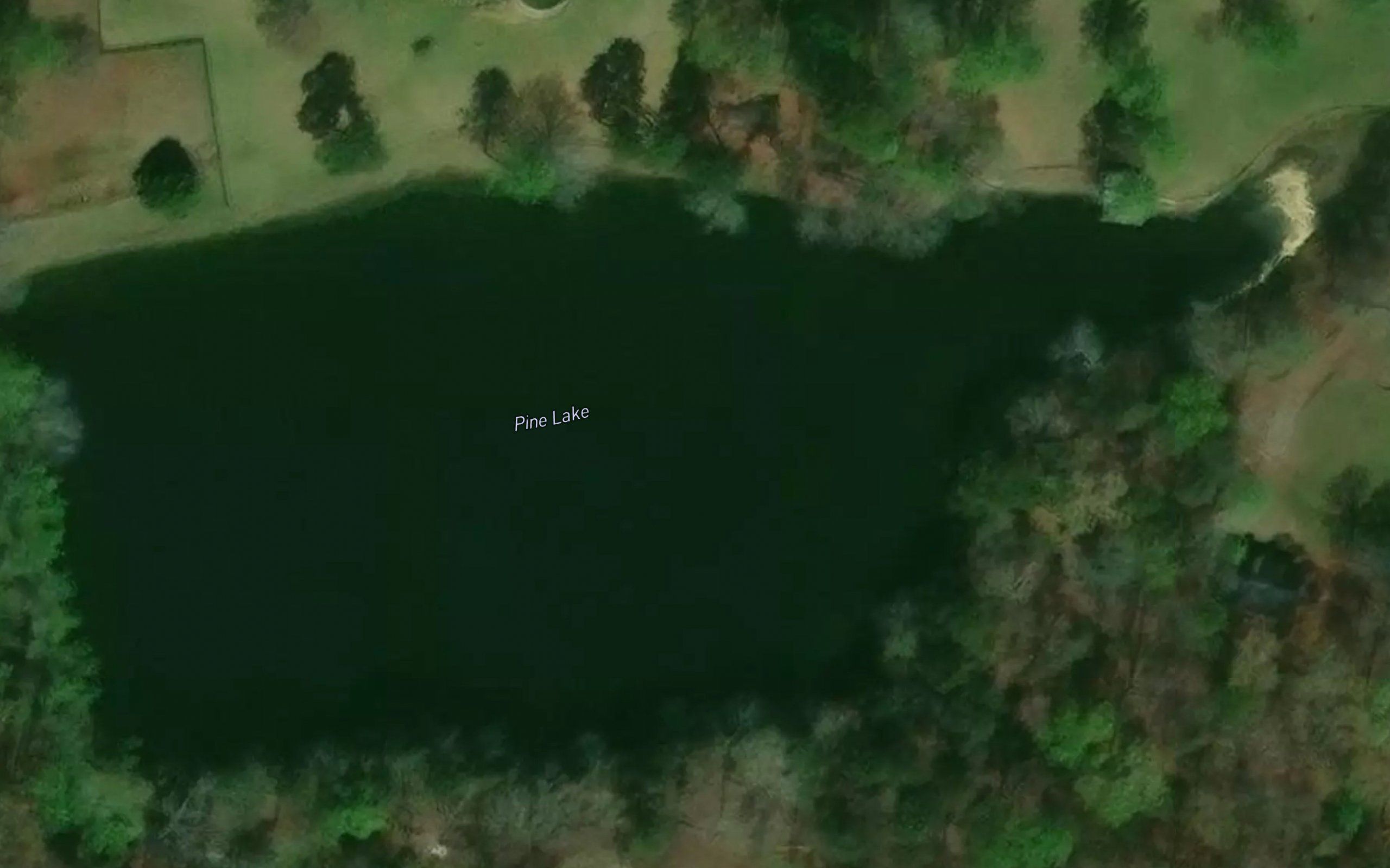 Pine Lake