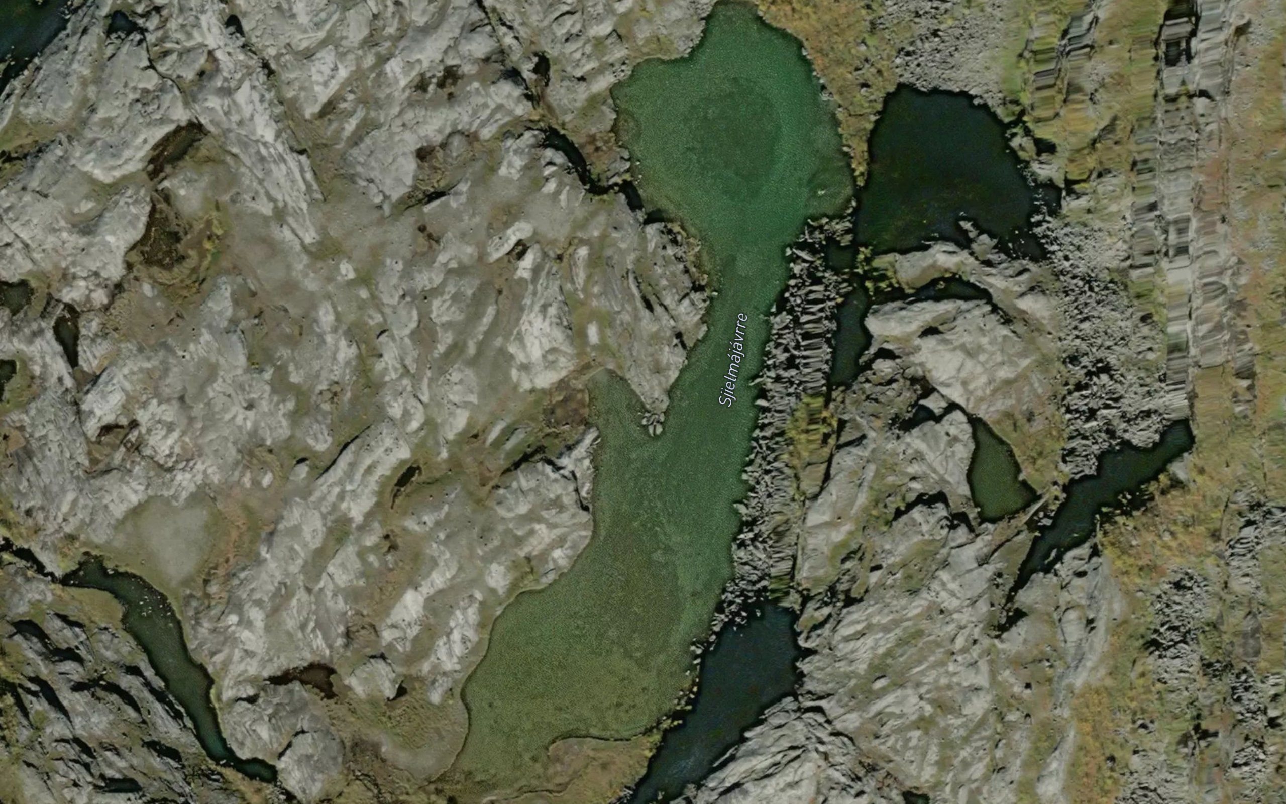 Sielmajavri