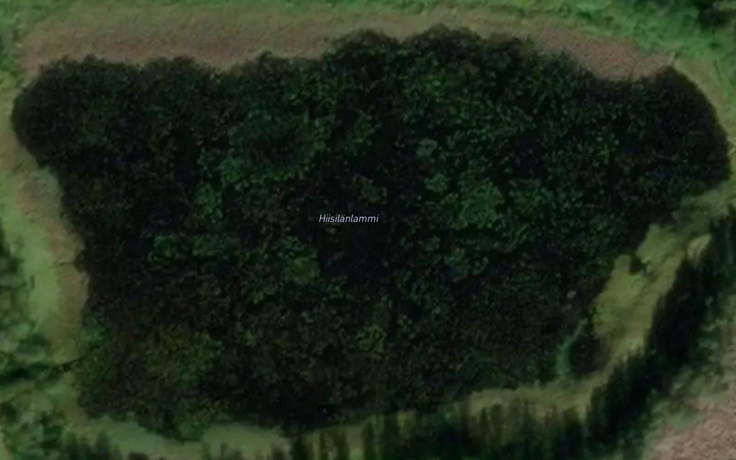 Hiisilanlammi