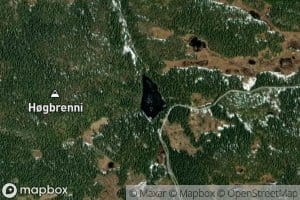 Liabekktjednet