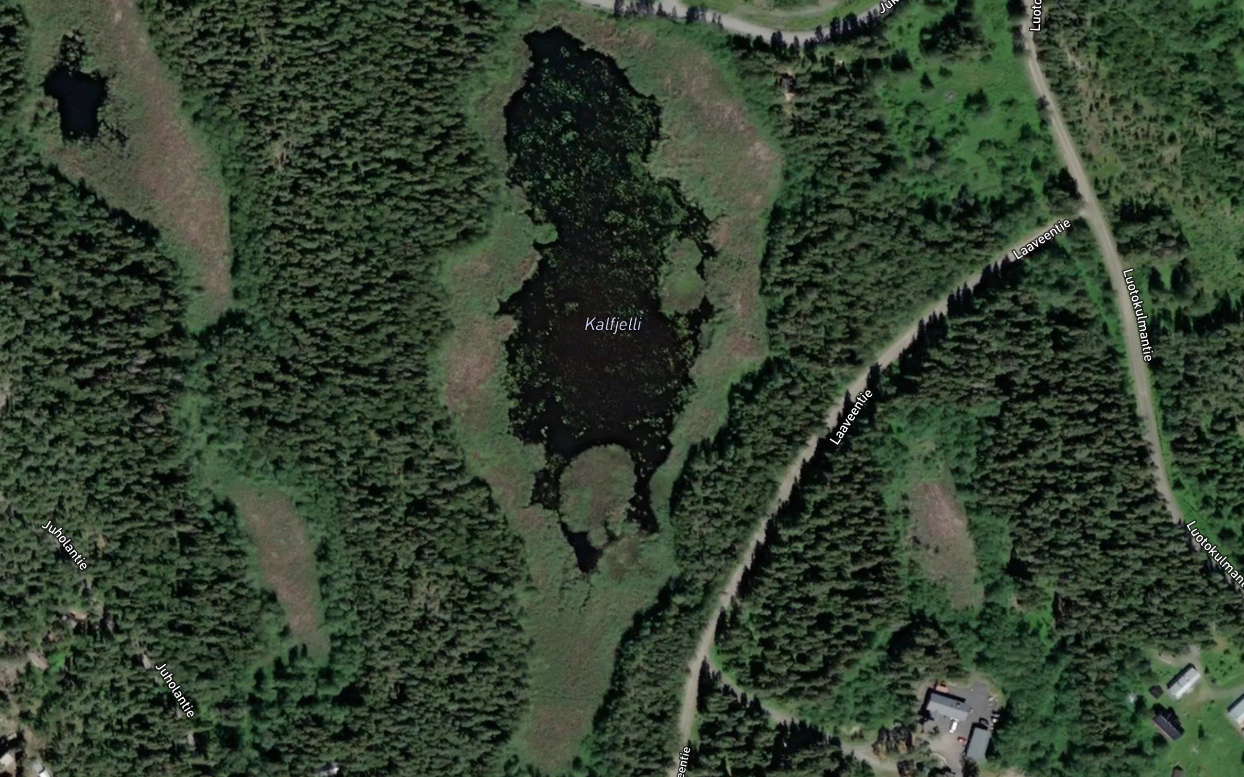 Kalfjelli