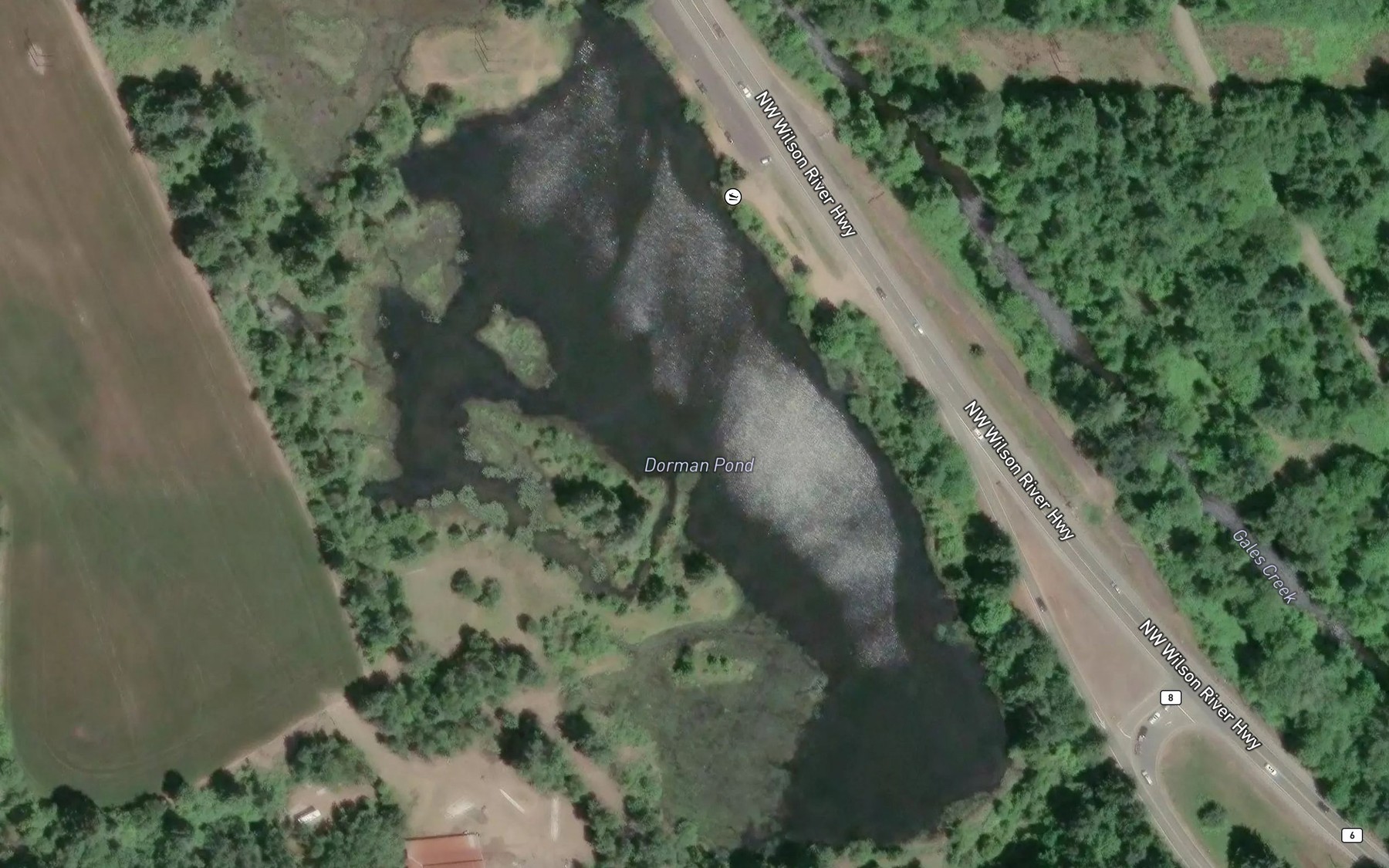 Satellite map of the Dorman Pond