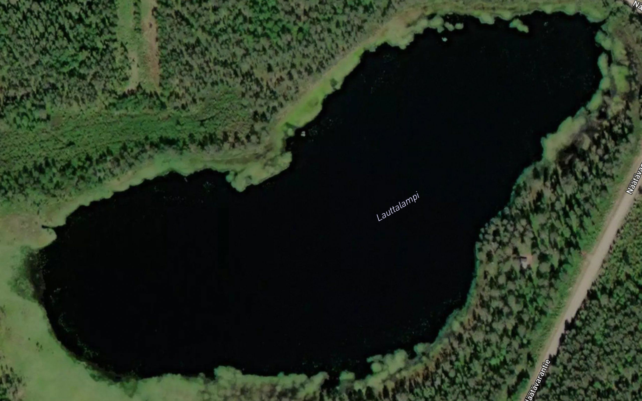 Lauttalampi
