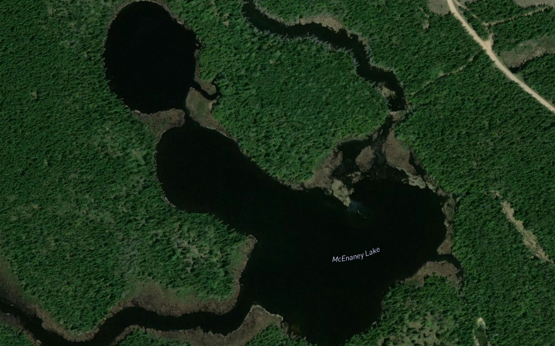 Satellite map of the McEnaney Lake