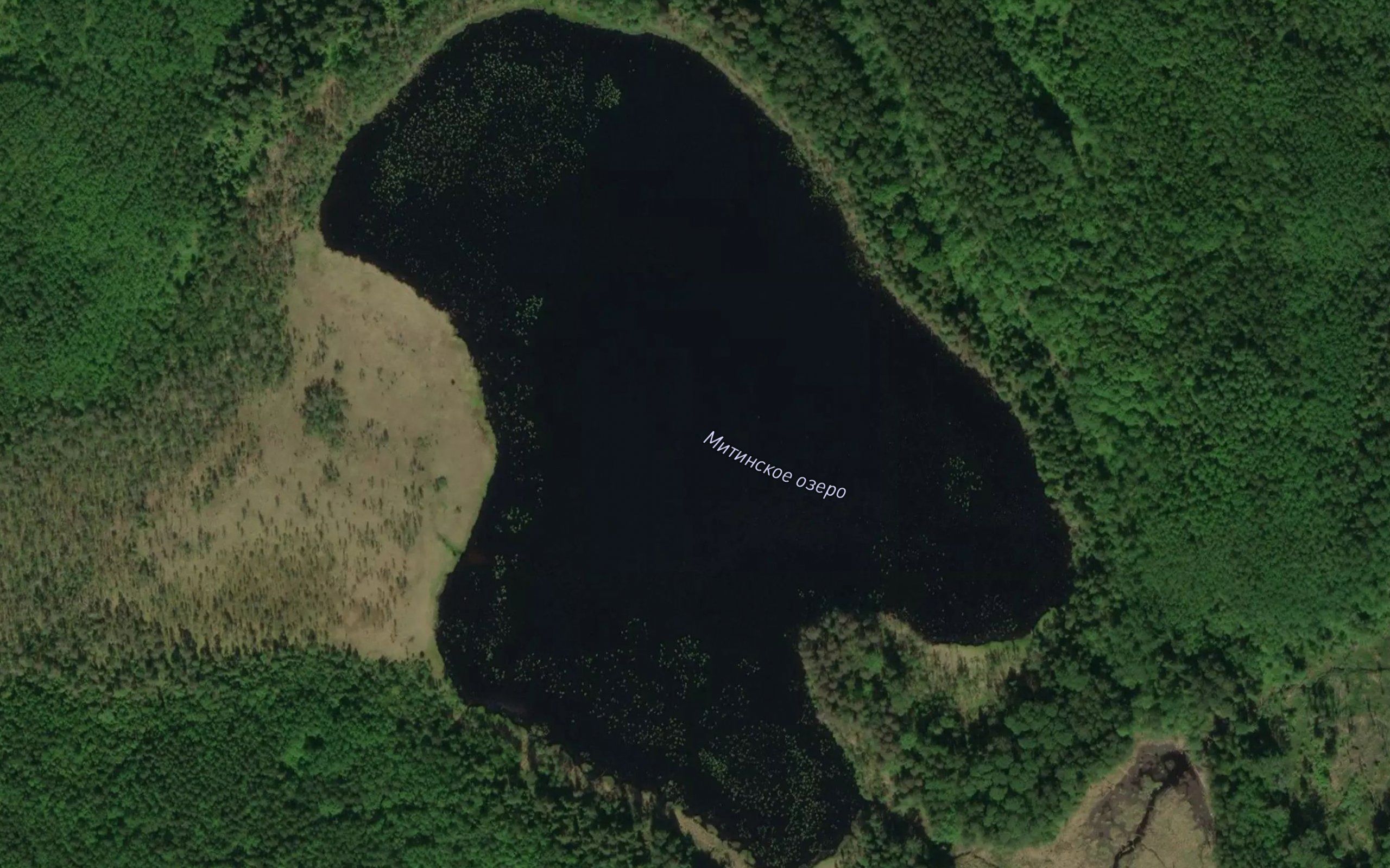 Ozero Mitinskoye