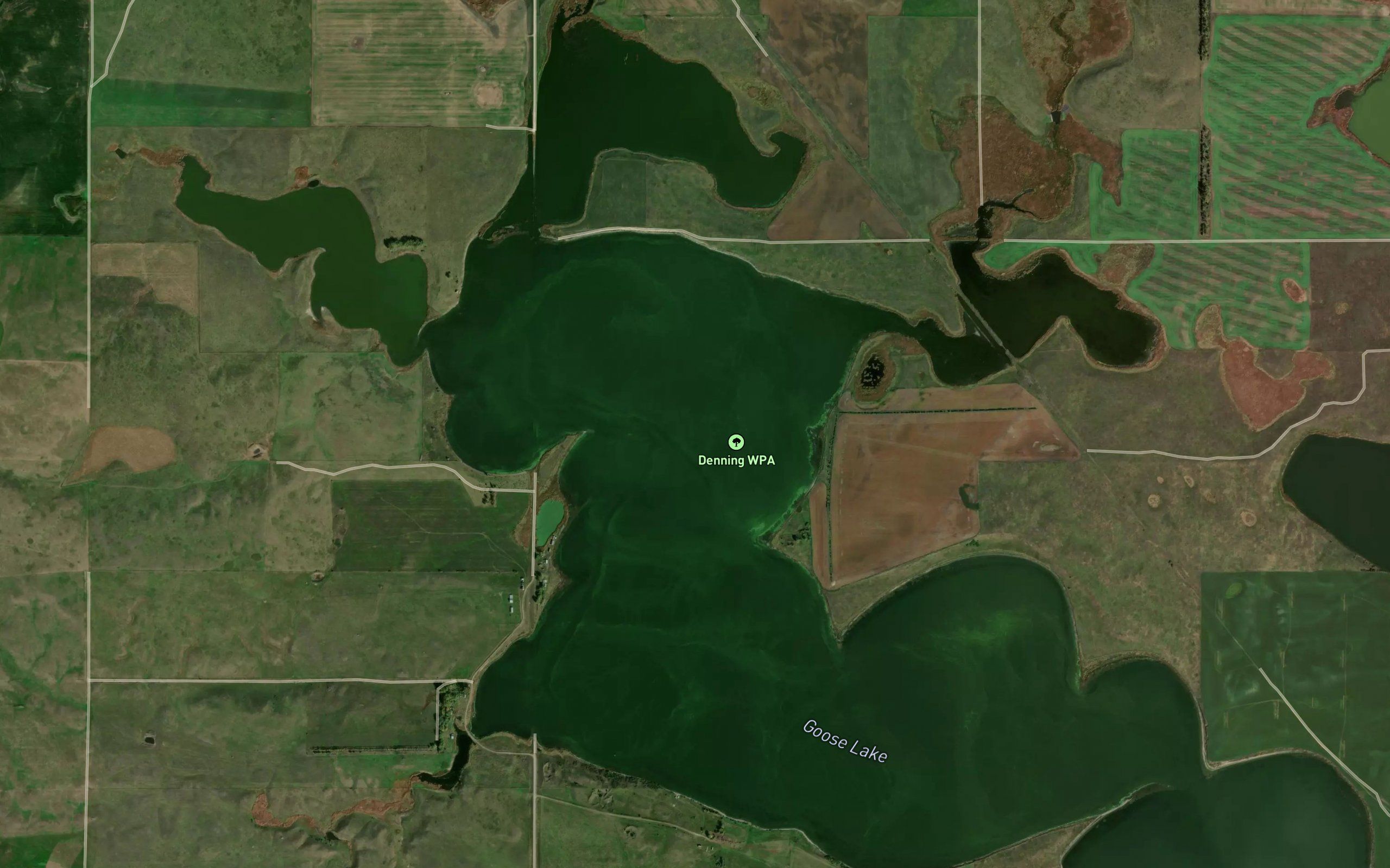Goose Lake