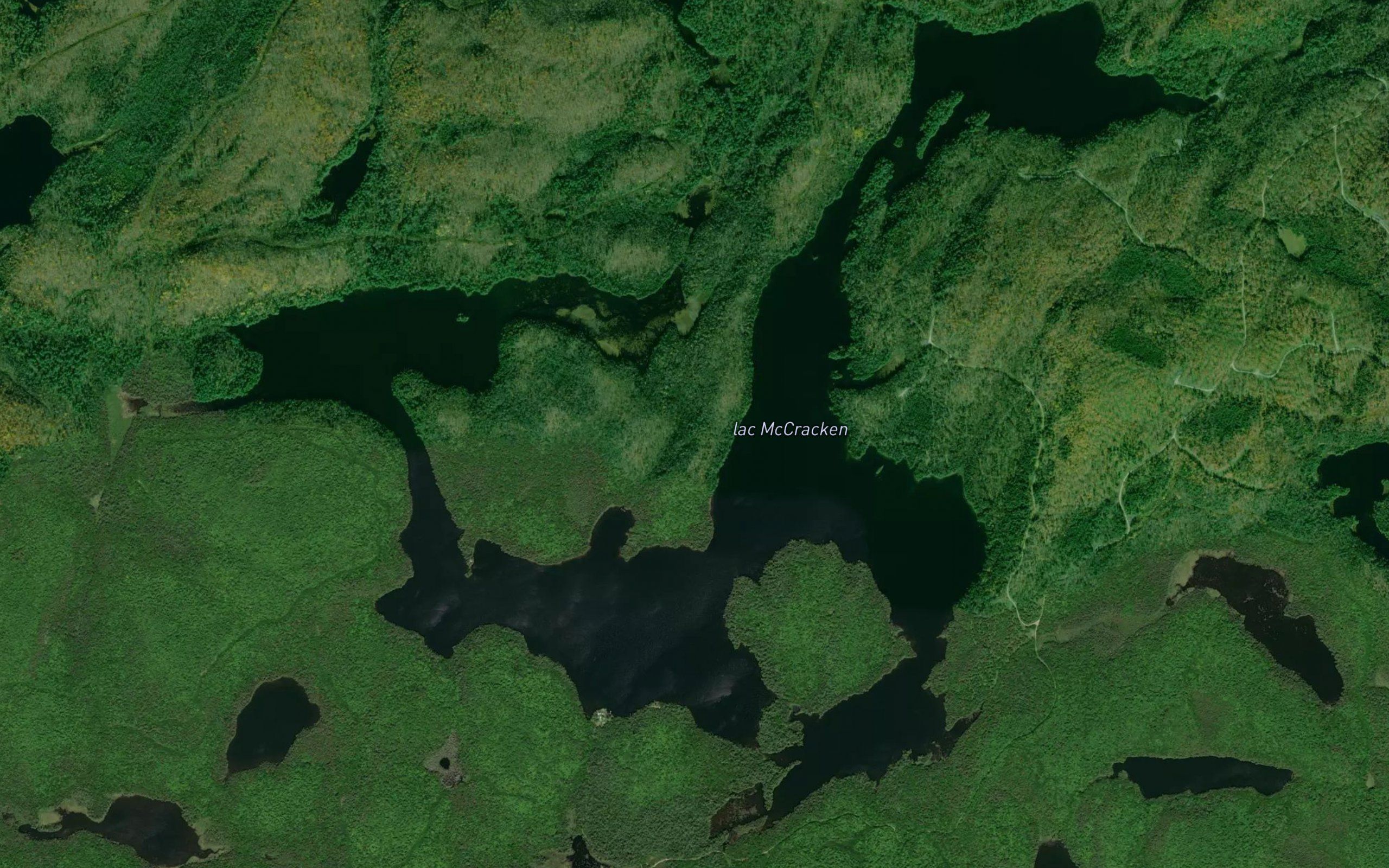 Lac McCracken