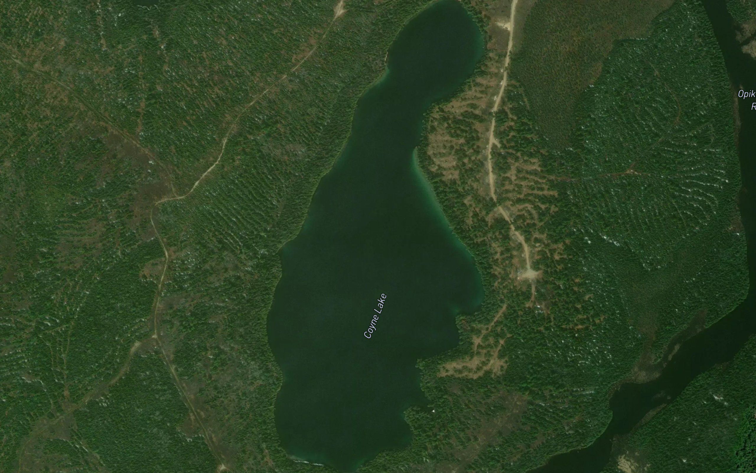 Coyne Lake
