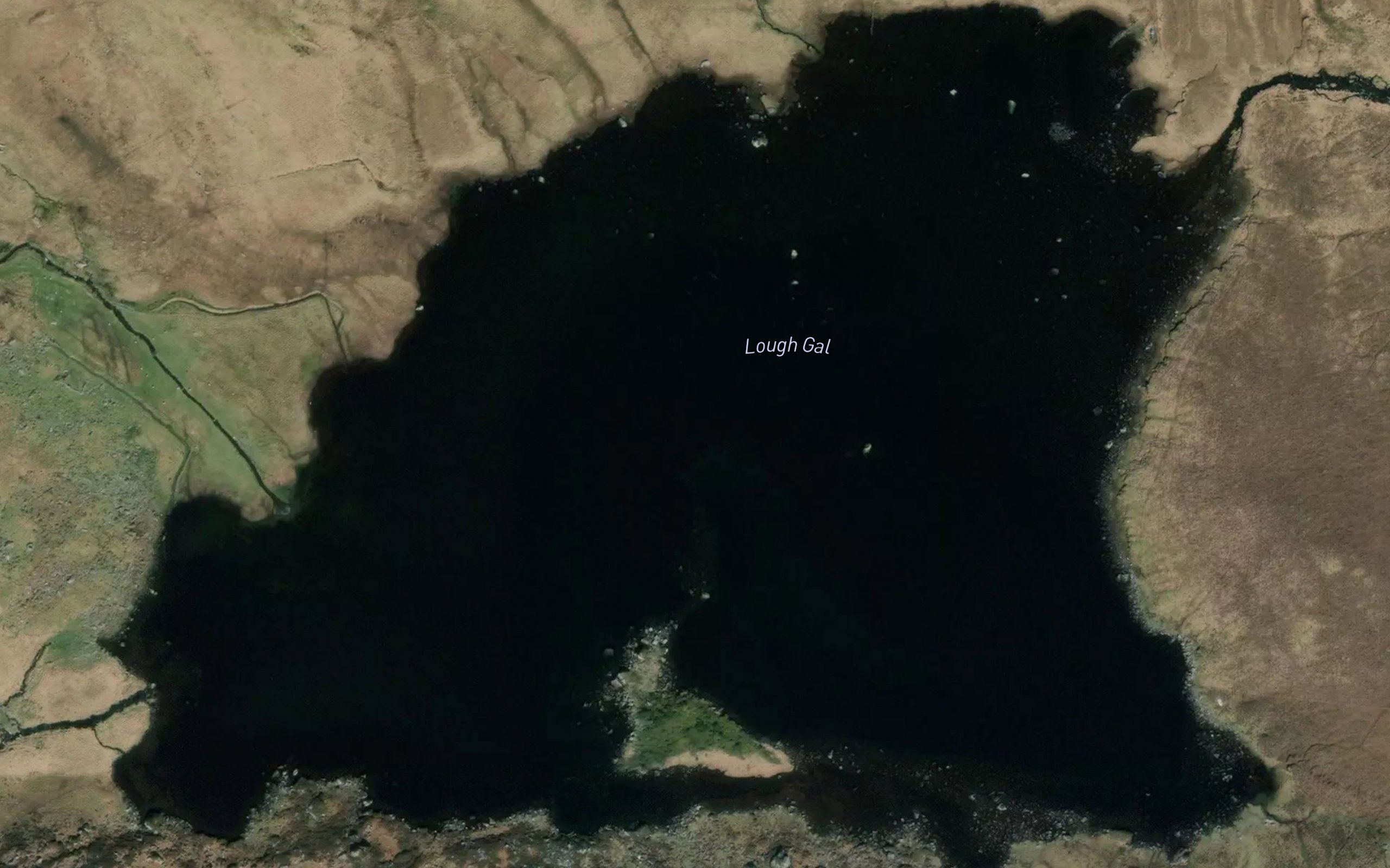 Lough Gal