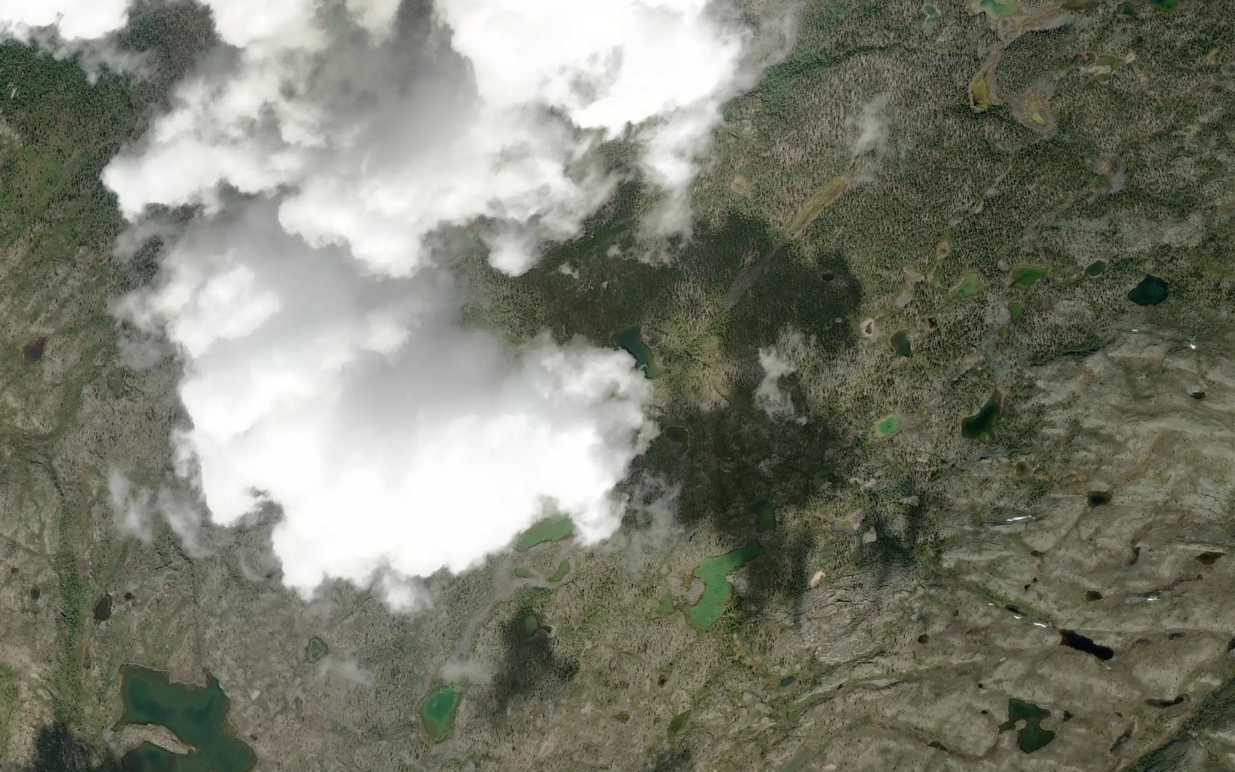 Satellite map of the Taukolampi