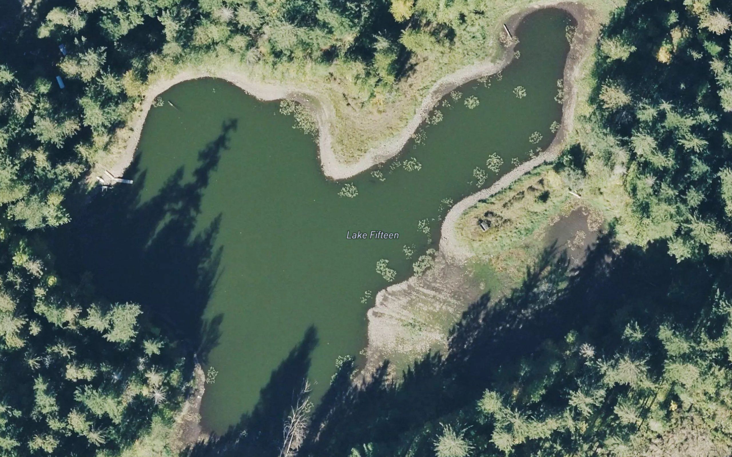 Lake Fifteen