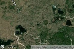 Archibald Tower Springs