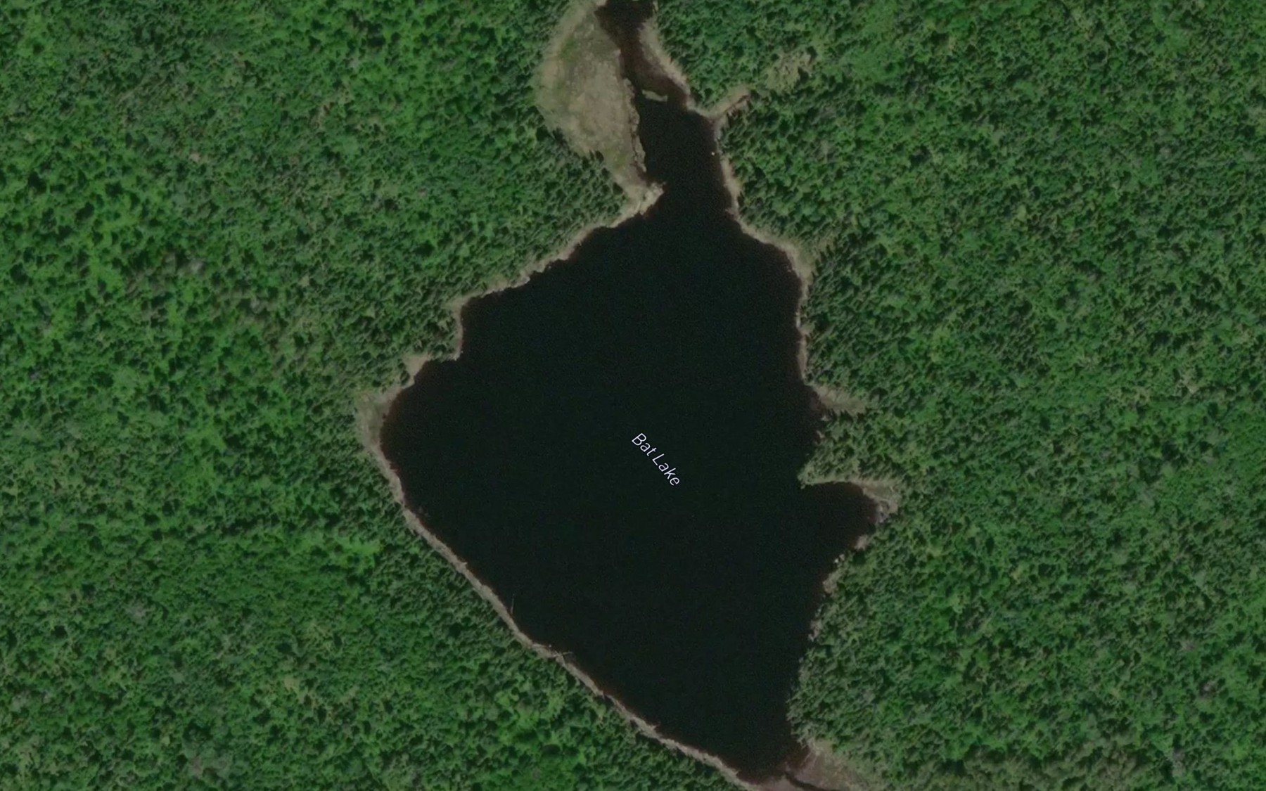 Satellite map of the Bat Lake