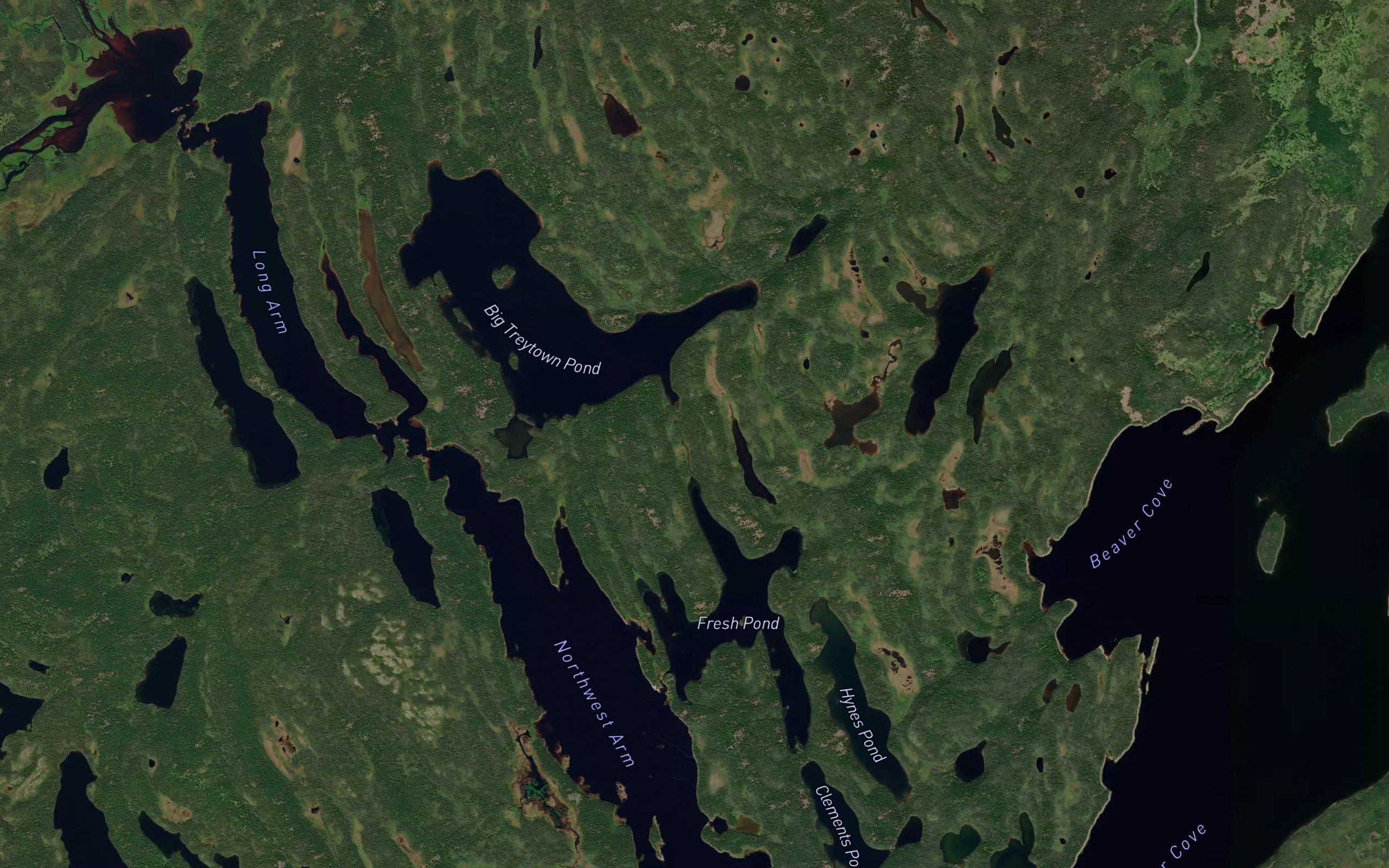 Big Treytown Pond