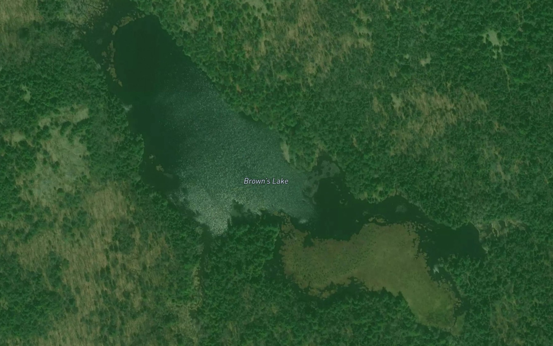 Satellite map of the Brown's Lake