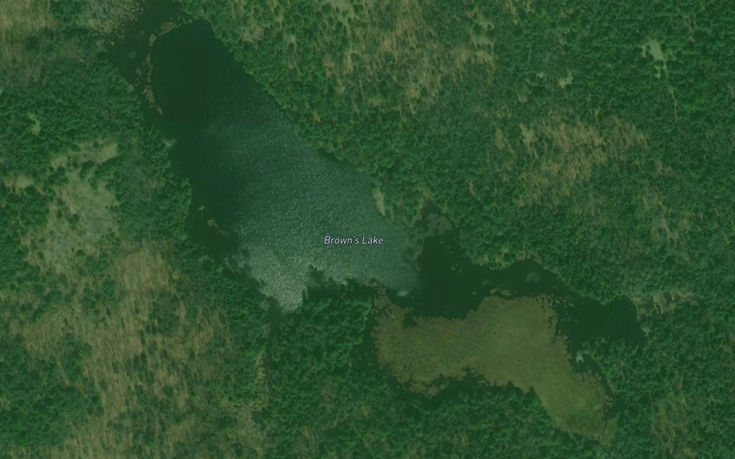 Brown's Lake