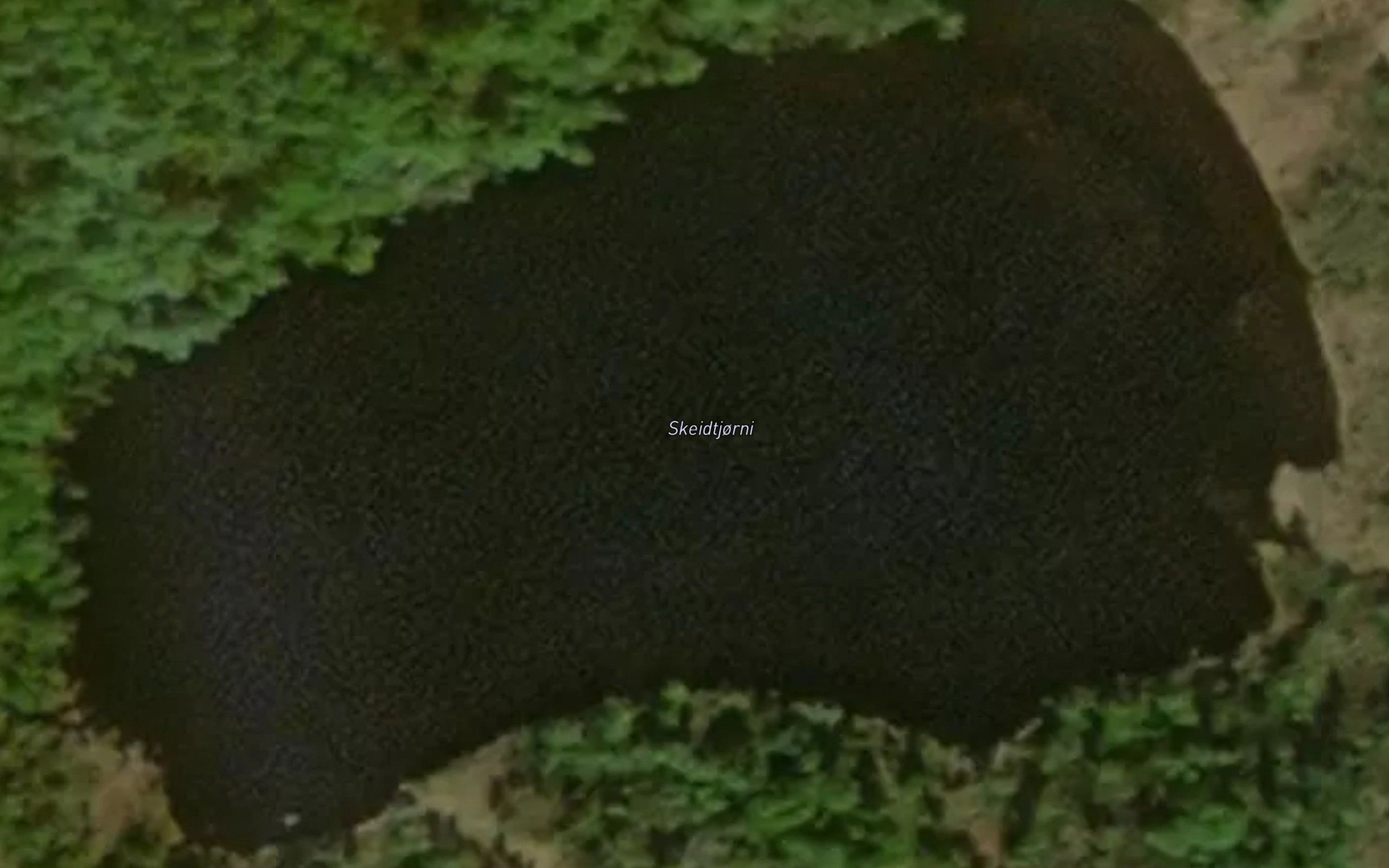 Skeidtjorni