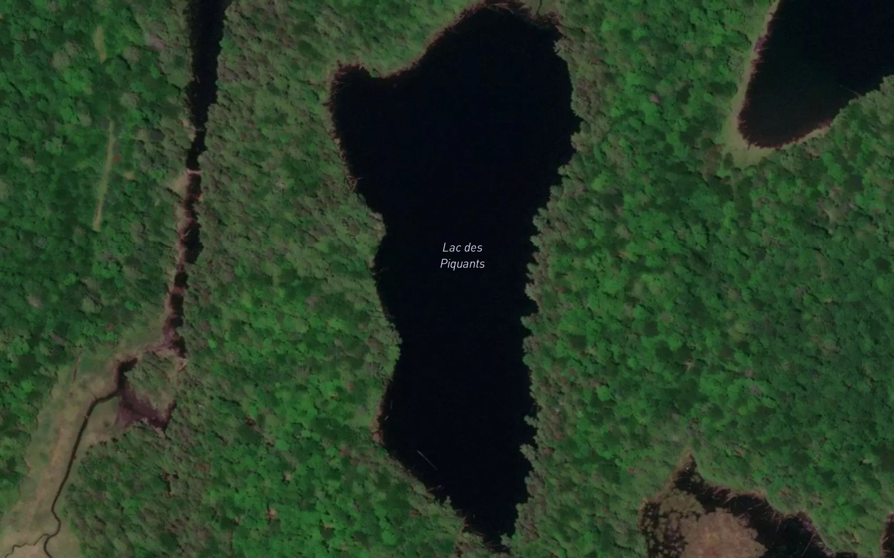 Satellite map of the Lac des Piquants