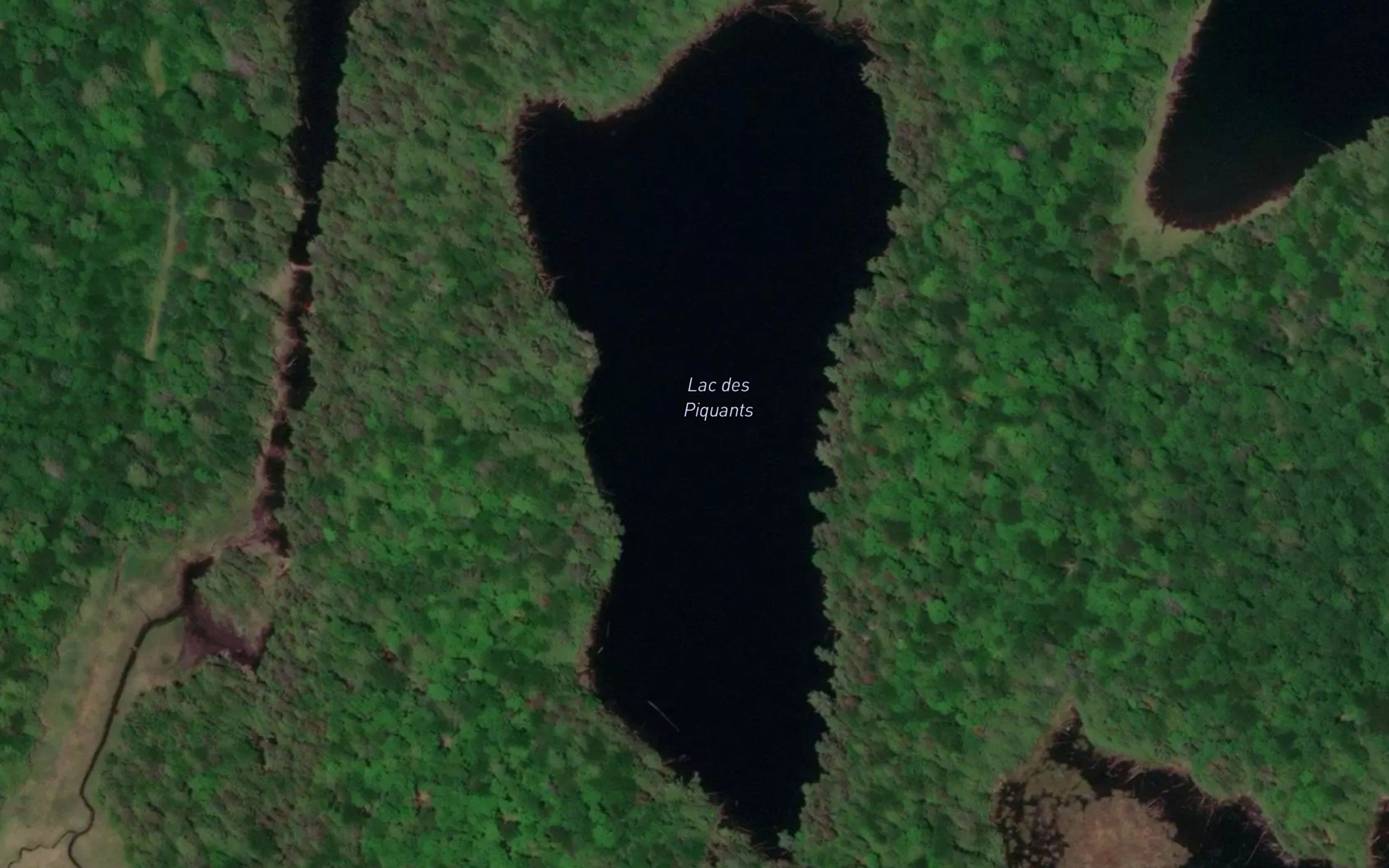 Lac des Piquants