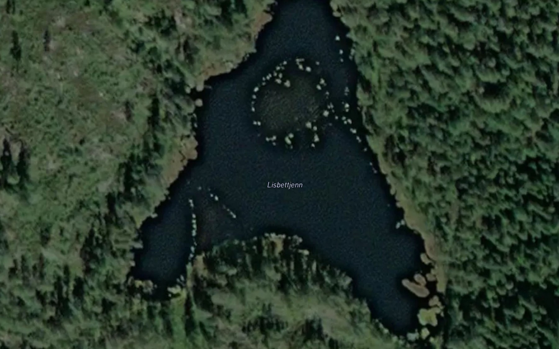 Satellite map of the Lisbettjenn